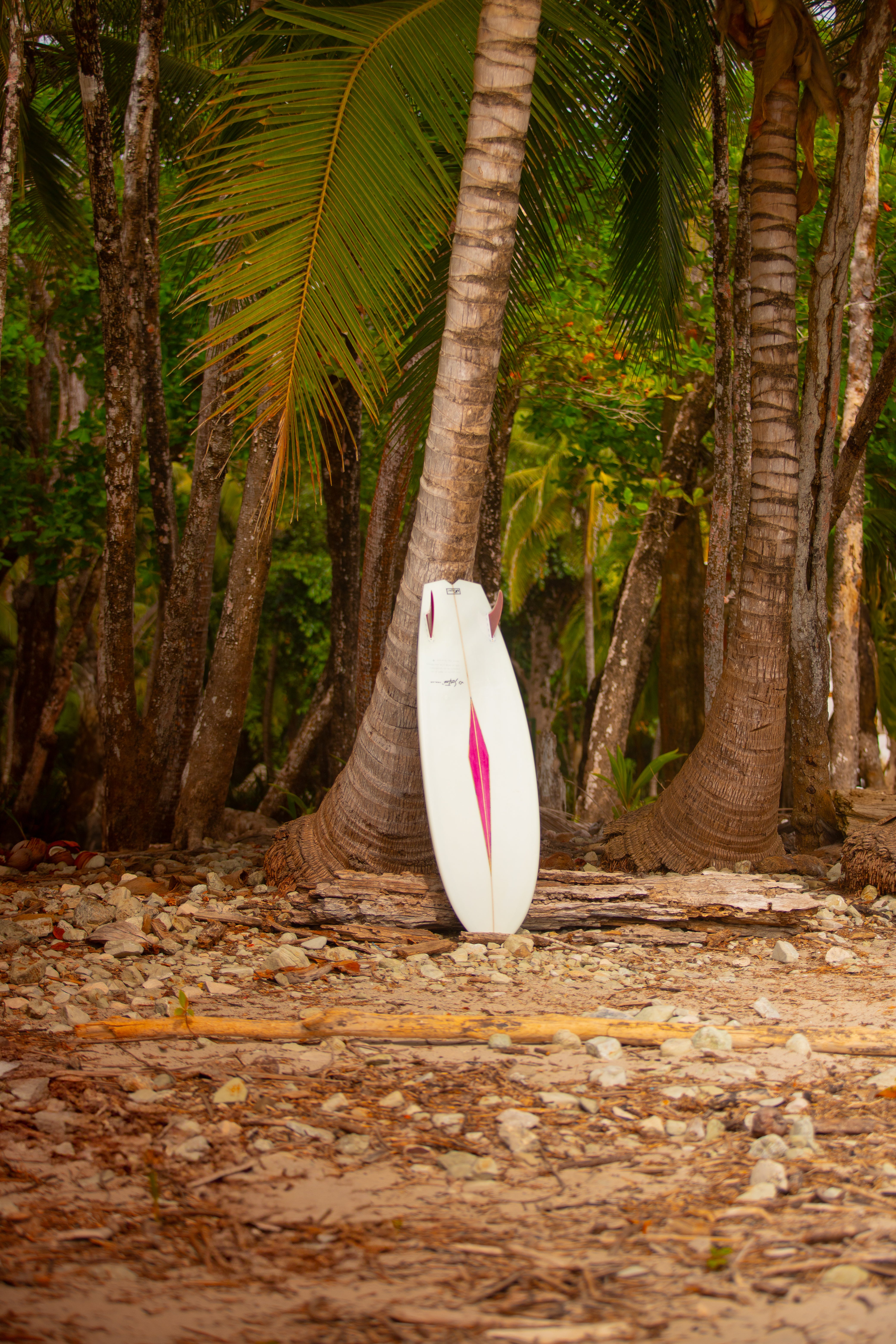 Heliofish by Surfish™