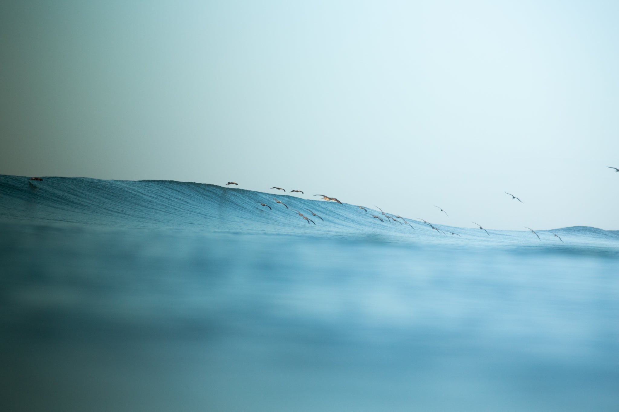 Migration between paradises