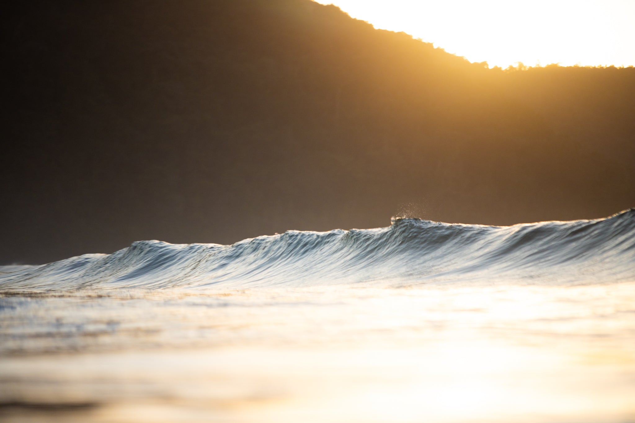 Sunrise Culture
